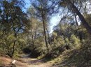Combe de Vidauque